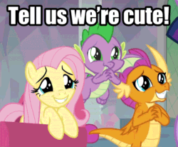 Size: 960x791 | Tagged: safe, edit, edited screencap, editor:undeadponysoldier, imported from ponybooru, screencap, fluttershy, smolder, spike, twilight sparkle, alicorn, dragon, pegasus, pony, cute, dragoness, female, happy, male, mare, puppy dog eyes, shyabetes, smolderbetes, spikabetes, talking to viewer, trio, trio focus, twilight sparkle (alicorn), winged spike