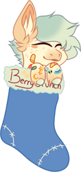 Size: 494x1049 | Tagged: safe, artist:mourningfog, imported from derpibooru, oc, oc only, oc:berry crunch, pegasus, pony, bandaid, christmas, christmas stocking, ear fluff, holiday, simple background, solo, transparent background