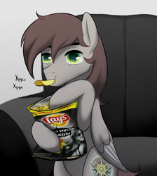 Size: 5931x6633 | Tagged: safe, artist:rvsbhrt, imported from derpibooru, oc, oc only, oc:gonta, pony, chips, cyrillic, eating, food, lay's, male, potato, potato chips, russian, sofa bed, solo