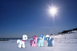 Size: 1024x685 | Tagged: safe, imported from derpibooru, double diamond, night glider, party favor, sugar belle, earth pony, pegasus, pony, unicorn, arvada, butt, clothes, colorado, equal four, female, irl, male, mare, photo, plot, ponies in real life, scarf, snow, spread wings, stallion, wings