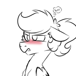 Size: 900x900 | Tagged: safe, artist:fuckomcfuck, imported from derpibooru, oc, oc:doodles, pegasus, pony, blushing, sketch, solo, thought bubble, wtf