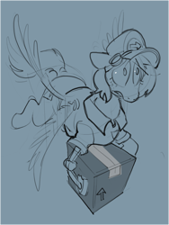 Size: 1298x1726 | Tagged: safe, artist:alumx, imported from derpibooru, oc, oc only, pegasus, pony, amputee, blue background, box, cap, carrying, flying, hat, mailpony, monochrome, package, prosthetic leg, prosthetic limb, prosthetics, simple background, sketch, solo