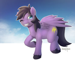 Size: 866x690 | Tagged: safe, artist:balade, imported from derpibooru, oc, oc only, pegasus, pony, solo