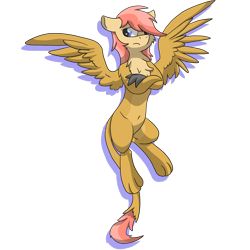 Size: 4504x4505 | Tagged: safe, artist:pzkratzer, imported from derpibooru, oc, oc only, oc:ponygriff, hippogriff, hybrid, pony, belly, belly button, looking away, paws, ponygriff, simple background, solo, spread wings, transparent background, unamused, wings