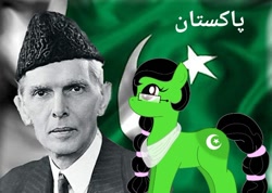 Size: 720x513 | Tagged: safe, artist:lekadema, edit, imported from derpibooru, human, pony, flag, muhammad ali jinnah, nation ponies, pakistan, ponified, urdu