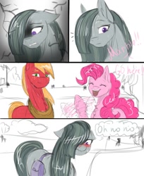 Size: 1100x1350 | Tagged: safe, artist:vera2002, imported from derpibooru, big macintosh, marble pie, pinkie pie, earth pony, pony, blushing, comic, female, male