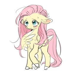 Size: 640x640 | Tagged: safe, artist:racoonman, imported from derpibooru, fluttershy, pegasus, pony, blushing, chest fluff, colored hooves, colored wings, colored wingtips, cute, ear fluff, female, floppy ears, mare, nervous, raised hoof, shy, shyabetes, simple background, sketch, solo, standing, teary eyes, three quarter view, unshorn fetlocks, white background, wing hands, wings