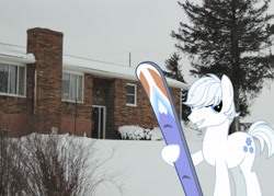 Size: 2100x1500 | Tagged: safe, artist:vectorizedunicorn, imported from derpibooru, double diamond, earth pony, pony, grin, house, iowa, irl, looking at you, male, photo, ponies in real life, skis, smiling, solo, stallion