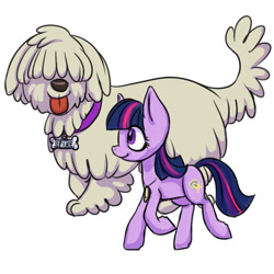 Size: 540x540 | Tagged: safe, artist:kovoranu, imported from derpibooru, twilight sparkle, oc, dog, pony, alternate universe, dog whistle, simple background, whistle, white background