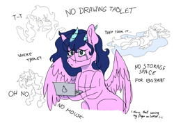 Size: 3508x2480 | Tagged: safe, artist:delfinaluther, imported from derpibooru, oc, pegasus, pony, art, computer, digital art, female, laptop computer, meme, ponysona, sketch