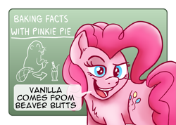 Size: 2499x1776 | Tagged: safe, artist:doodledonutart, imported from derpibooru, pinkie pie, beaver, earth pony, pony, castoreum, chalkboard, fact, female, open mouth, open smile, smiling, solo