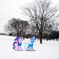 Size: 720x717 | Tagged: safe, artist:mundschenk85, imported from derpibooru, starlight glimmer, trixie, pony, unicorn, boots, clothes, female, hat, irl, mare, minneapolis, minnesota, photo, ponies in real life, shoes, snow, tree, vest, winter hat, winter wrap up vest