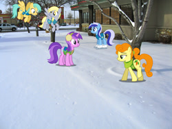 Size: 2048x1536 | Tagged: safe, artist:cloudyglow, artist:moongazeponies, artist:mundschenk85, imported from derpibooru, amethyst star, carrot top, derpy hooves, golden harvest, minuette, sparkler, sunshower raindrops, earth pony, pegasus, pony, unicorn, boise, earmuffs, female, ice skates, idaho, irl, mare, photo, ponies in real life, snow, winter wrap up vest