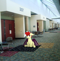 Size: 1962x2000 | Tagged: safe, artist:aaathebap, imported from derpibooru, oc, oc:aaaaaaaaaaa, baltimore, baltimore convention center, confused, irl, liminal space, photo, solo