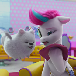 Size: 1080x1080 | Tagged: safe, imported from derpibooru, screencap, zipp storm, dog, pegasus, pomeranian, pony, spoiler:my little pony: make your mark chapter 2, spoiler:myms01e03, 3d, cloudpuff, cropped, cucumber, disgusted, female, flying pomeranian, food, g5, male, mare, my little pony: make your mark, my little pony: make your mark chapter 2, portrait of a princess, smiling, tongue out, towel, winged dog