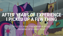 Size: 1920x1080 | Tagged: safe, edit, edited screencap, editor:quoterific, imported from derpibooru, screencap, fluttershy, twilight sparkle, alicorn, growing up is hard to do, bag, saddle bag, twilight sparkle (alicorn)