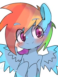 Size: 768x1024 | Tagged: safe, artist:pnpn_721, imported from derpibooru, rainbow dash, pegasus, pony, eye clipping through hair, eyebrows, eyebrows visible through hair, female, looking at you, mare, simple background, smiling, smiling at you, solo, spread wings, white background, wings