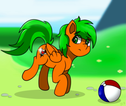 Size: 919x768 | Tagged: safe, artist:tarhoon sunflare, imported from derpibooru, oc, oc only, oc:tarhoon sunflare, pegasus, pony, ball