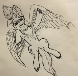 Size: 3099x3020 | Tagged: safe, artist:brightenight-heart, imported from derpibooru, zipp storm, pegasus, pony, cardiophilia, fetish, g5, heart bulge, heartbeat