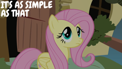 Size: 1920x1080 | Tagged: safe, edit, edited screencap, editor:quoterific, imported from derpibooru, screencap, fluttershy, putting your hoof down, solo