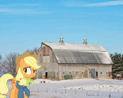Size: 2048x1638 | Tagged: safe, artist:cloudyglow, artist:jaredking779, imported from derpibooru, applejack, earth pony, pony, barn, clothes, cowboy hat, female, hat, irl, mare, nebraska, photo, ponies in real life, scarf, snow, solo, stetson