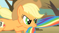 Size: 803x453 | Tagged: safe, imported from derpibooru, screencap, applejack, rainbow dash, fall weather friends, season 1, biting, running of the leaves, tail, tail bite