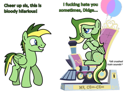 Size: 943x703 | Tagged: safe, artist:didgereethebrony, imported from derpibooru, oc, oc:boomerang beauty, oc:didgeree, pegasus, pony, balloon, base used, boomeree, brother and sister, dialogue, female, kiddie ride, male, pouting, siblings, simple background, smiling, trace, train, transparent background, unamused, vulgar