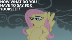 Size: 1280x720 | Tagged: safe, edit, edited screencap, editor:quoterific, imported from derpibooru, screencap, fluttershy, pegasus, pony, dragonshy, season 1, female, flying, mare, open mouth, solo, spread wings, wings