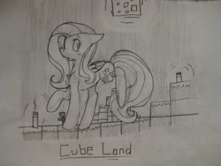 Size: 2592x1944 | Tagged: safe, artist:oatmeal-is-crazy, artist:potatoo-tree, imported from derpibooru, fluttershy, 2013, female, mare, minecraft, monochrome, sketch, solo, traditional art