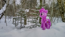 Size: 2048x1176 | Tagged: safe, imported from derpibooru, photographer:pakapaka1993, berry punch, berryshine, earth pony, pony, irl, japan, photo, plushie, snow, solo, tree, winter