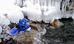 Size: 2048x1217 | Tagged: safe, imported from derpibooru, photographer:pakapaka1993, princess luna, pony, seapony (g4), icicle, irl, japan, photo, plushie, race swap, rock, snow, solo, water, winter