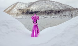 Size: 1024x602 | Tagged: safe, imported from derpibooru, photographer:pakapaka1993, berry punch, berryshine, earth pony, pony, irl, japan, mountain, photo, plushie, snow, solo, tree, winter