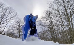 Size: 2048x1238 | Tagged: safe, imported from derpibooru, photographer:pakapaka1993, princess luna, alicorn, pony, irl, japan, photo, plushie, snow, solo, tree, winter