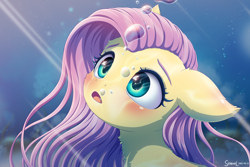 Size: 2700x1800 | Tagged: safe, artist:symbianl, imported from derpibooru, fluttershy, pegasus, pony, blushing, bubble, bust, confused, crepuscular rays, cute, cute little fangs, digital art, fangs, female, flowing mane, fluffy, green eyes, high res, looking up, mare, ocean, open mouth, pink mane, portrait, reflection, shyabetes, signature, solo, sunlight, underwater, water