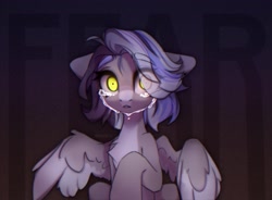 Size: 4096x3018 | Tagged: safe, artist:radioaxi, imported from derpibooru, oc, oc only, pegasus, pony, chest fluff, coat markings, colored wings, crying, eye clipping through hair, facial markings, fear, pale belly, pegasus oc, scared, snip (coat marking), solo, spread wings, tears of fear, teary eyes, two toned wings, wide eyes, wings