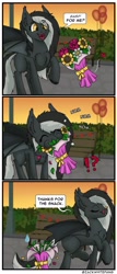 Size: 1475x3435 | Tagged: safe, artist:zackwhitefang, imported from derpibooru, oc, oc only, bat pony, pony, 3 panel comic, bat pony oc, comic, solo