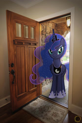 Size: 2003x2994 | Tagged: safe, artist:zombielandundead, imported from derpibooru, princess luna, alicorn, pony, 2016, door, female, high res, irl, mare, photo, ponies in real life