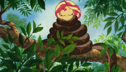 Size: 1884x1080 | Tagged: safe, artist:ocean lover, edit, imported from derpibooru, sunset shimmer, python, snake, equestria girls, equestria girls series, unsolved selfie mysteries, coils, disney, eyes closed, head down, kaa, leaves, sleeping, squeeze, story included, the jungle book, tree, tree branch, wrapped up