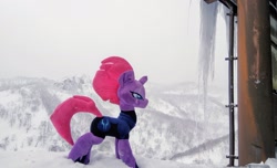 Size: 2048x1249 | Tagged: safe, imported from derpibooru, photographer:pakapaka1993, tempest shadow, pony, unicorn, ice, icicle, irl, japan, photo, plushie, snow, solo, winter