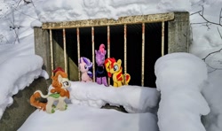 Size: 2048x1214 | Tagged: safe, imported from derpibooru, photographer:pakapaka1993, autumn blaze, starlight glimmer, sunset shimmer, tempest shadow, kirin, pony, unicorn, irl, jail, japan, photo, plushie, snow, winter