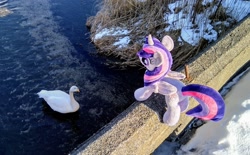 Size: 2048x1270 | Tagged: safe, imported from derpibooru, photographer:pakapaka1993, twilight sparkle, alicorn, bird, pony, swan, animal, irl, japan, photo, plushie, river, snow, solo, twilight sparkle (alicorn), water