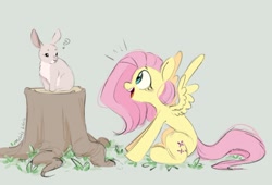 Size: 1200x814 | Tagged: safe, artist:melodylibris, imported from derpibooru, fluttershy, pegasus, pony, rabbit, animal, cute, female, green background, looking at each other, looking at someone, mare, open mouth, profile, question mark, shyabetes, simple background, sitting, solo, spread wings, that pony sure does love animals, tree stump, wings