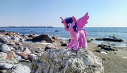 Size: 2048x1180 | Tagged: safe, imported from derpibooru, photographer:pakapaka1993, twilight sparkle, alicorn, pony, beach, irl, japan, ocean, photo, plushie, rock, solo, twilight sparkle (alicorn), water