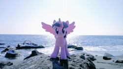 Size: 1024x575 | Tagged: safe, imported from derpibooru, photographer:pakapaka1993, twilight sparkle, alicorn, pony, beach, irl, japan, ocean, photo, plushie, rock, solo, twilight sparkle (alicorn), water