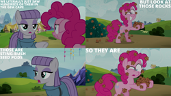 Size: 1280x720 | Tagged: safe, edit, edited screencap, editor:quoterific, imported from derpibooru, screencap, maud pie, pinkie pie, earth pony, pony, rock solid friendship, season 7, bipedal, duo, female, floppy ears, mare, open mouth, shrunken pupils, twilight's castle