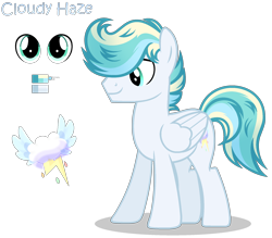 Size: 2040x1784 | Tagged: safe, artist:starshinestellaryt, imported from derpibooru, oc, oc only, oc:cloudy haze, pegasus, pony, folded wings, full body, hooves, male, multicolored mane, multicolored tail, offspring, parent:sky stinger, parent:vapor trail, parents:vaporsky, pegasus oc, reference sheet, shadow, show accurate, simple background, smiling, solo, stallion, standing, tail, transparent background, wings
