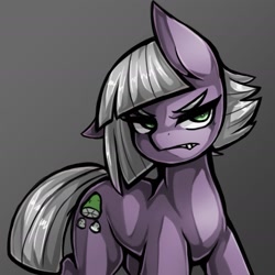 Size: 1543x1543 | Tagged: safe, artist:kyouman1010, imported from derpibooru, limestone pie, earth pony, pony, angry, cute, female, gradient background, gritted teeth, grumpy, limabetes, limestone pie is not amused, looking at you, mare, one ear down, solo