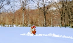 Size: 2048x1216 | Tagged: safe, imported from derpibooru, photographer:pakapaka1993, autumn blaze, kirin, pony, irl, japan, photo, plushie, snow, solo, tree