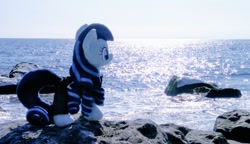 Size: 1024x590 | Tagged: safe, imported from derpibooru, photographer:pakapaka1993, coloratura, earth pony, pony, beach, irl, japan, ocean, photo, plushie, rock, solo, water