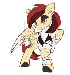 Size: 544x590 | Tagged: safe, artist:beardie, imported from derpibooru, oc, oc only, oc:casino royale, pegasus, pony, clothes, female, shirt, simple background, solo, white background